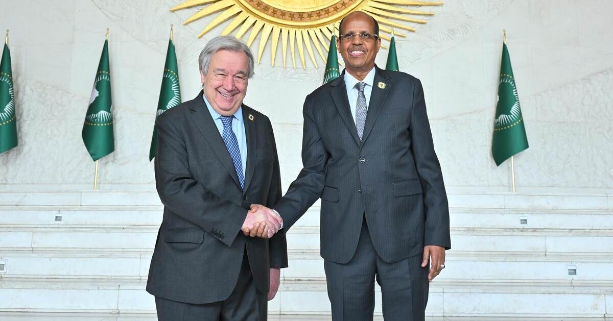 Africa’s stake in the future of the UN